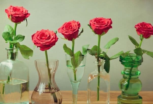 Cum se păstrează cel mai bine florile în vază: Vodcă, Sprite sau clor?