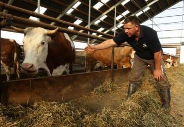 Reprezentanții ministerului Agriculturii dau o veste bună fermierilor din toată țara