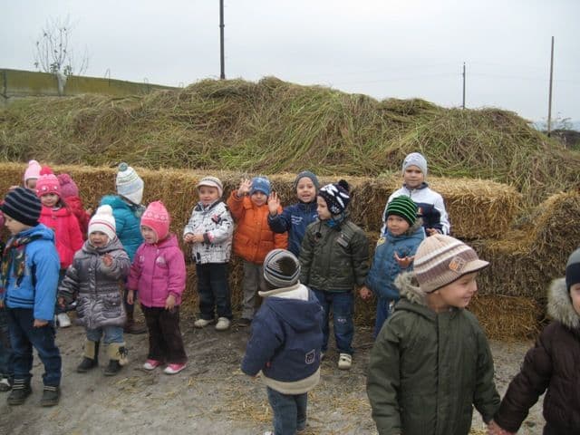 Copiii de la Grădiniţa nr.10 Dorohoi în excursie la o fermă - FOTO