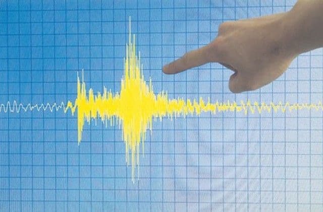 Cutremur puternic în Vrancea. Seismul a fost resimţit şi în București