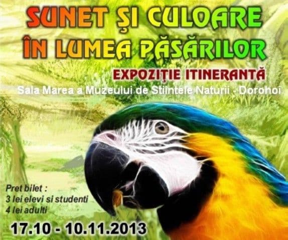 „Sunet şi culoare în lumea păsărilor” la Secţia de Ştiinţele Naturii Dorohoi