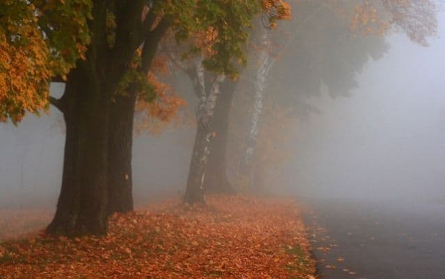 Gata cu vremea frumoasă! Ploi şi temperaturi scăzute. Prognoza pentru 5 – 17 noiembrie