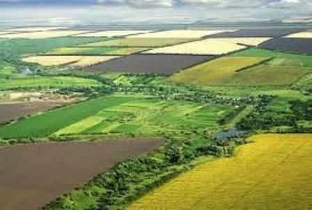 Reguli noi şi absurde pentru vânzarea de terenuri agricole