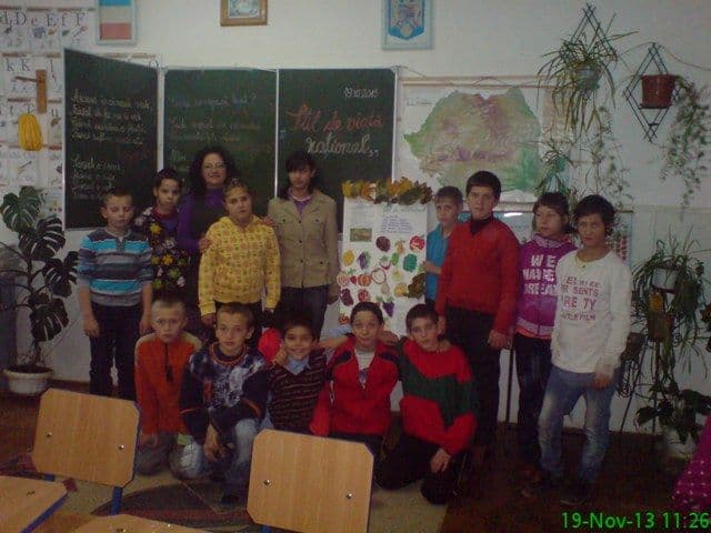 „Stil de viaţă raţional” în Săptămâna Educației Globale la Liceul Tehnologic Special „Ion Pillat” - FOTO