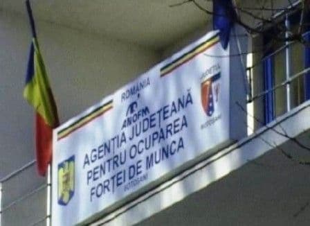 AJOFM Botoşani: Locuri noi de muncă pentru persoanele cu studii superioare