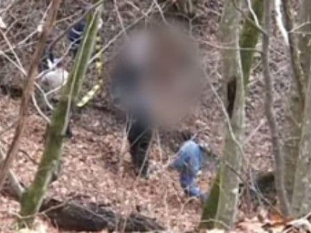 Bărbat găsit spânzurat în marginea unei păduri din comuna Cordăreni!