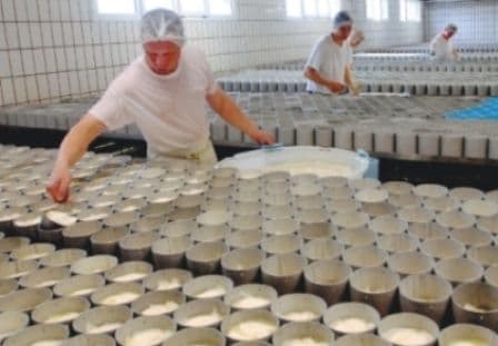 Noile reguli europene vor obliga România să transforme laptele în cașcaval scump și parmezan