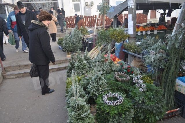 Vezi prețurile la care dorohoienii pot achiziționa un brad de Crăciun - FOTO