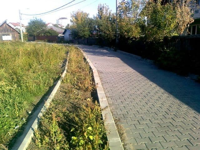 Primim la redacţie - Buruieni în loc de pavele pe „Valea Ţiganului” din Dorohoi !