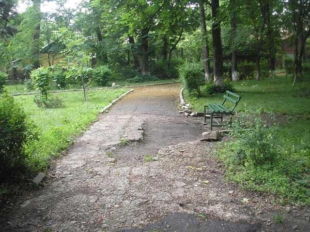 alee parc