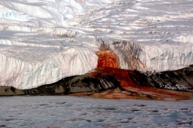 antarctica
