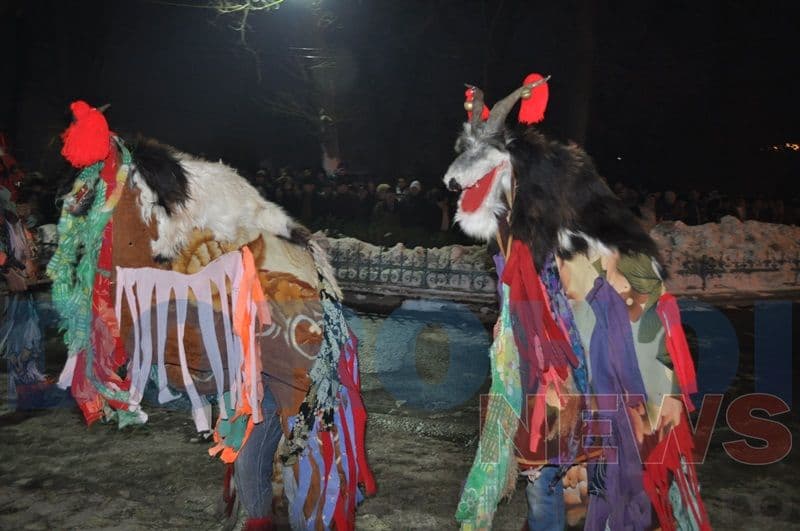 Banda Horlaceni 2012 Dorohoi_05