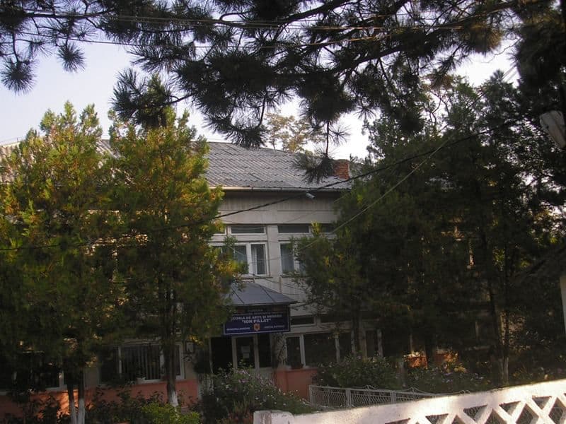 sc.Ion Pillat