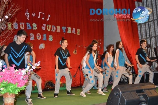 Concurs judetean de interpretare artistica_Dorohoi 2013_15