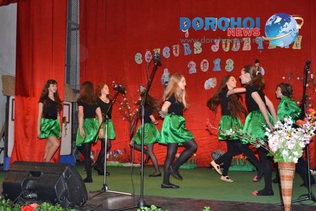 Concurs judetean de interpretare artistica_Dorohoi 2013_27