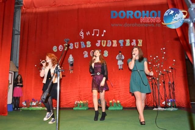 Concurs judetean de interpretare artistica_Dorohoi 2013_41