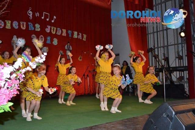 Concurs judetean de interpretare artistica_Dorohoi 2013_48
