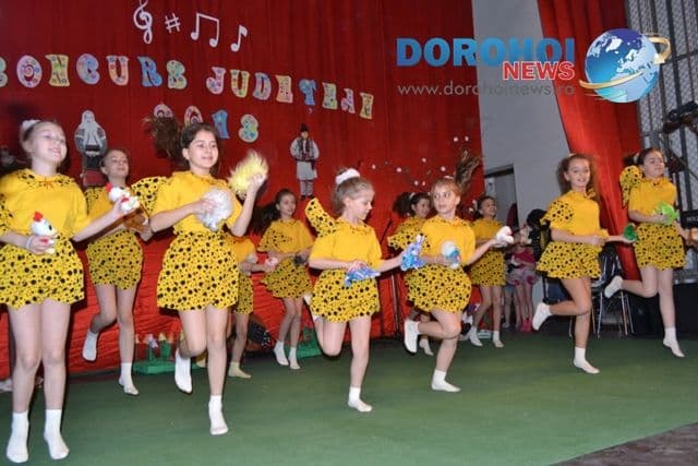 Concurs judetean de interpretare artistica_Dorohoi 2013_49