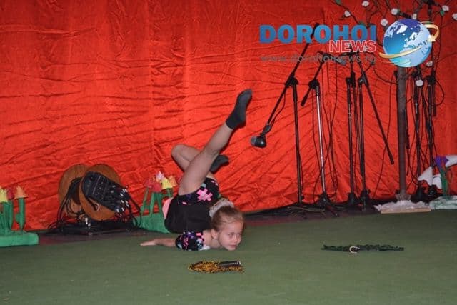 Concurs judetean de interpretare artistica_Dorohoi 2013_64