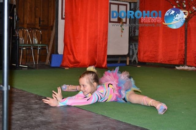 Concurs judetean de interpretare artistica_Dorohoi 2013_61