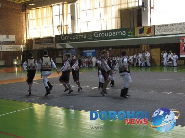 Alunelul si Stejarelul Dorohoi_01