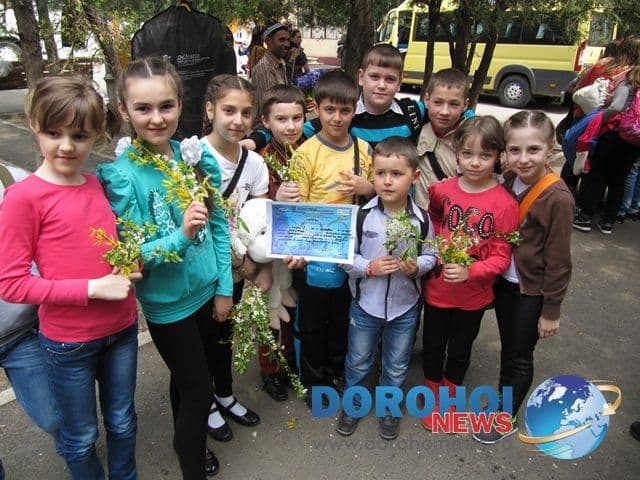 Alunelul si Stejarelul Dorohoi_09