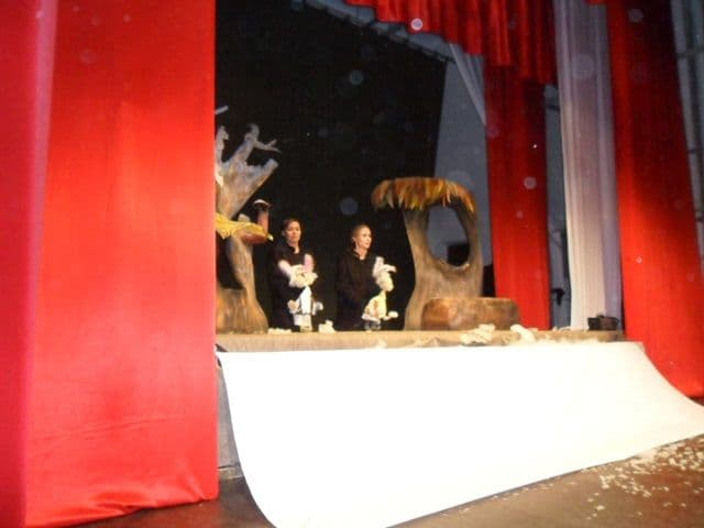 teatrul Vasilache la Dorohoi14