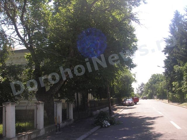 Dorohoi (3)