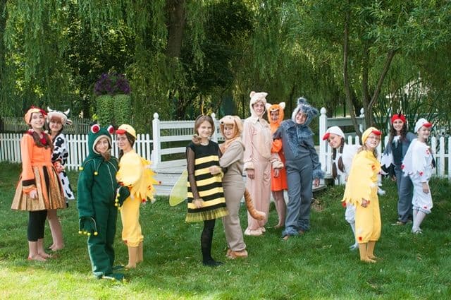 Grupul MELLODY Botosani_2
