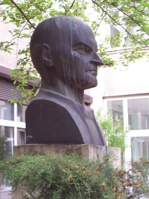 Dimitrie Pompeiu bust in fata univ.Timisoara