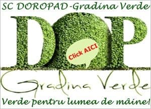 Gradina Verde