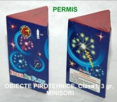 minisor permis