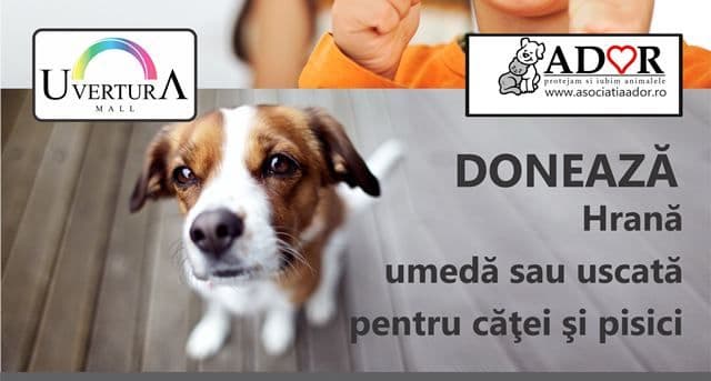 Campanie Uvertura_Ador_2