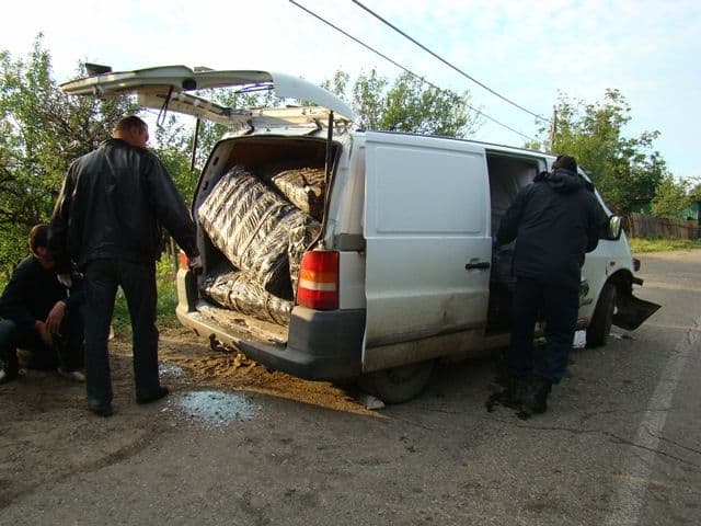IMG1