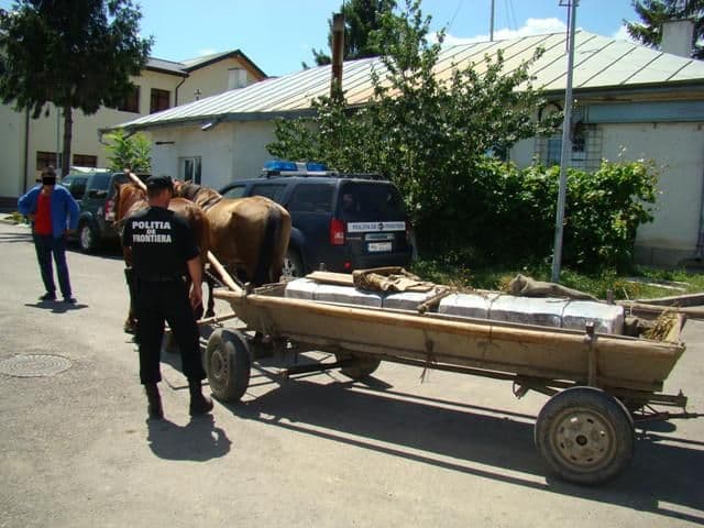 IMG1