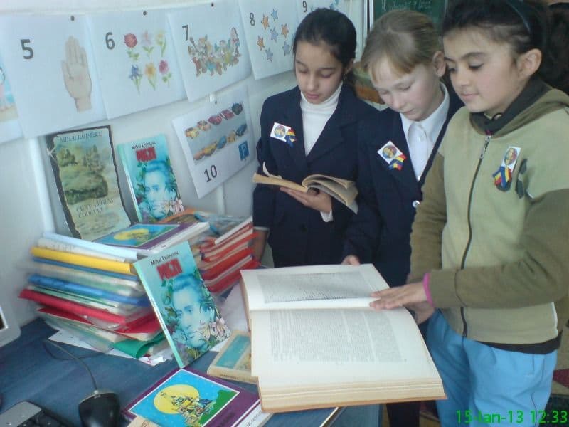 Dorohoi (8)