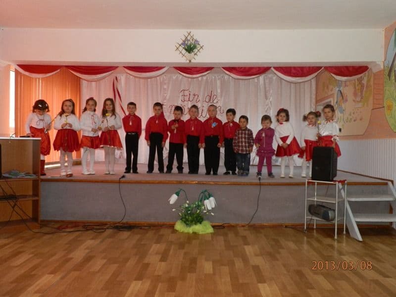 Dorohoi gradinita nr. 8 (13)