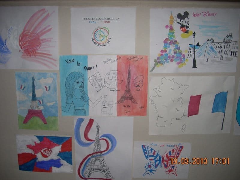 Colegiul National Grigore Ghica Dorohoi Saptamana Francofoniei (12)
