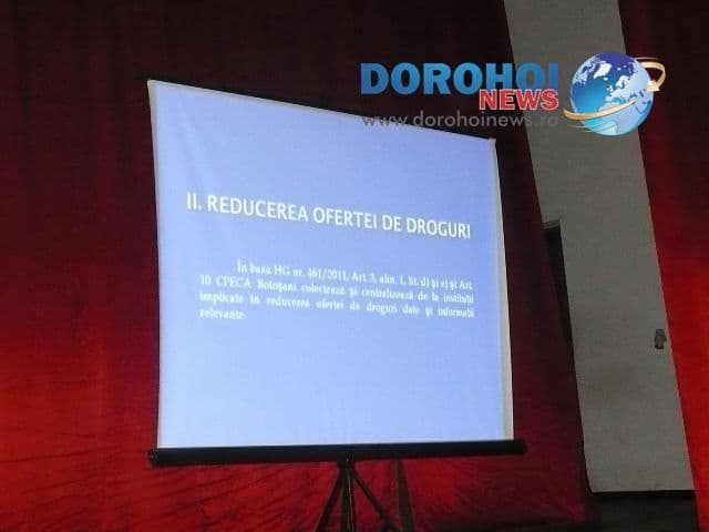 Regina Maria Dorohoi_7