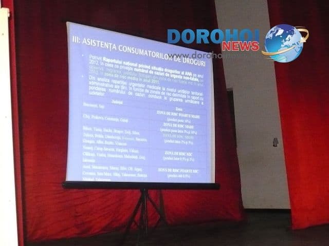 Regina Maria Dorohoi_8