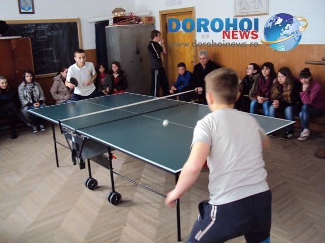 Dorohoi Ion Pillat_3