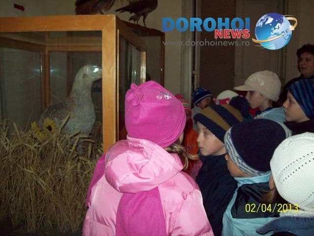 Scoala Dimitrie Romanescu - Dorohoi_9