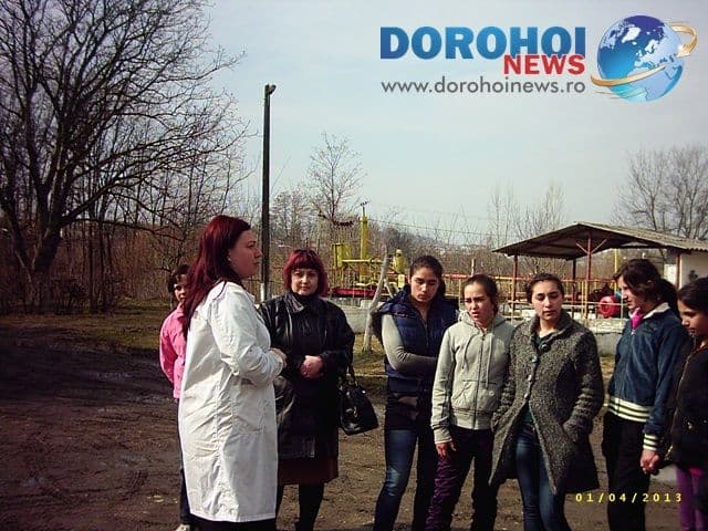 Scoala altfel la Scoala Stefan ce Mare Dorohoi_13