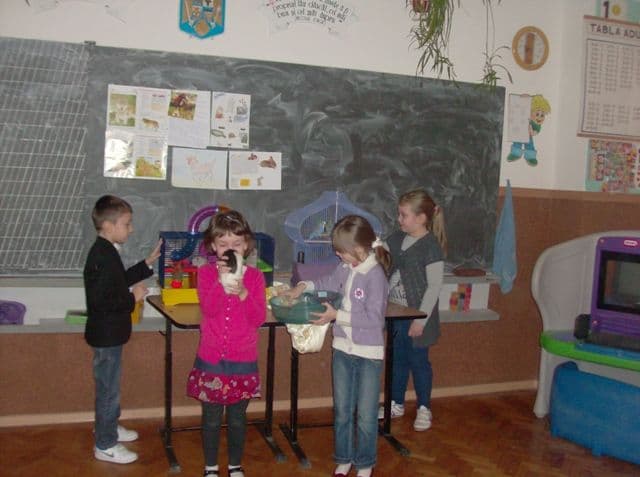 Scoala nr.1 Dorohoi (9)
