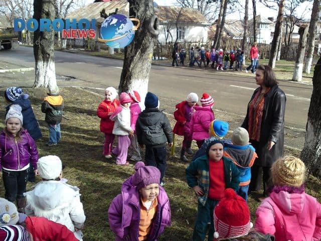 Scoala Dimitrie Romanescu - Dorohoi_013