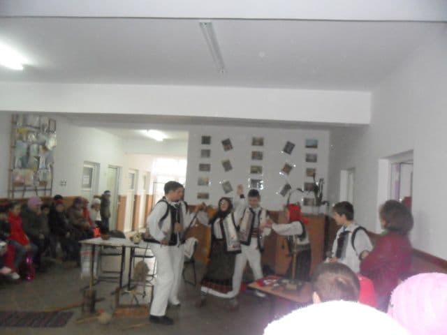 Scoala Mihail Sadoveanu Dumbravita (5)