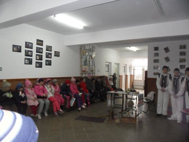 Scoala Mihail Sadoveanu Dumbravita (7)
