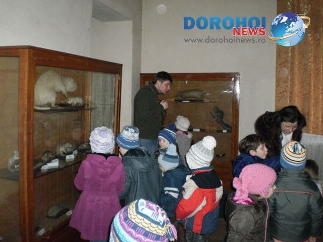 Scoala Gimnaziala Dimitrie Romanescu - Dorohoi_6