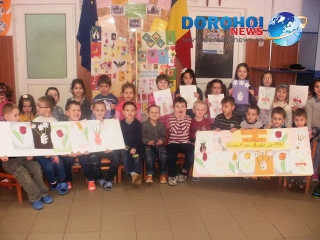 Scoala Gimnaziala Dimitrie Romanescu - Dorohoi_14