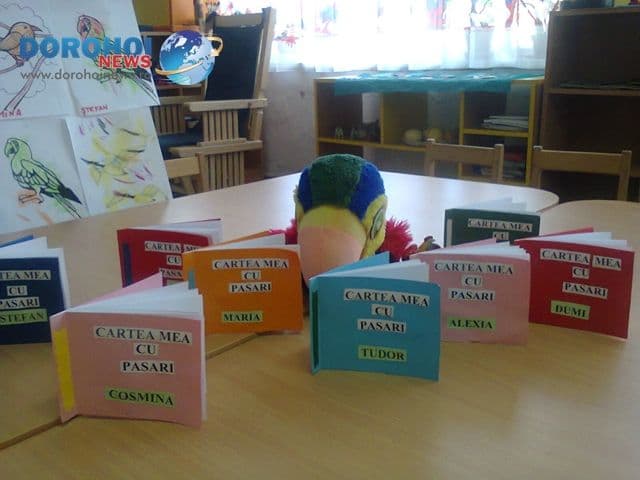 Gradinita cu program prelungit nr.10 Dorohoi_2